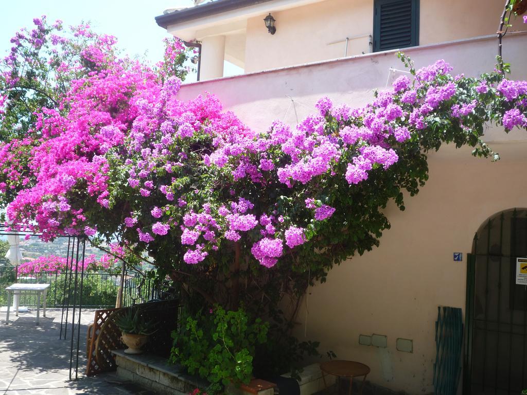 Villa Panthea Capo Vaticano Buitenkant foto